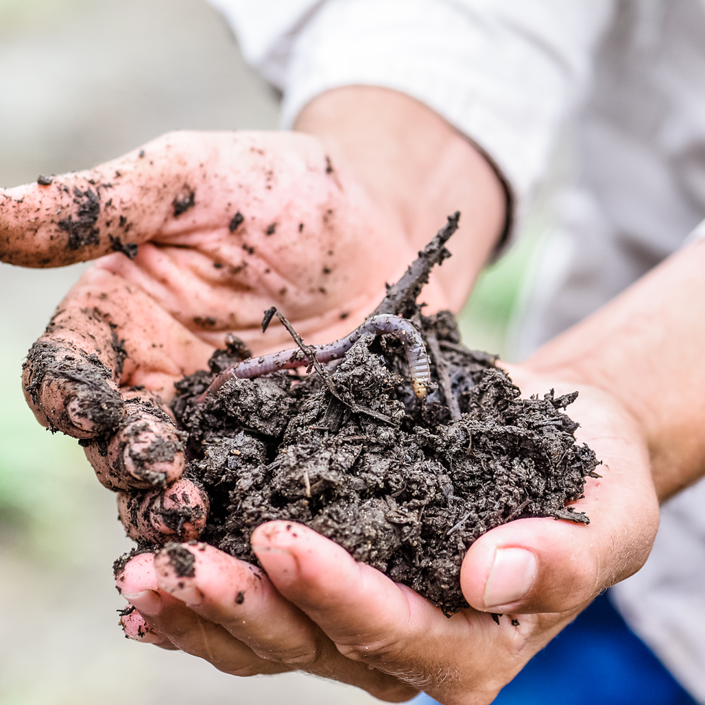 how-can-we-save-our-soils-ways-to-reduce-and-even-reverse-the-damage