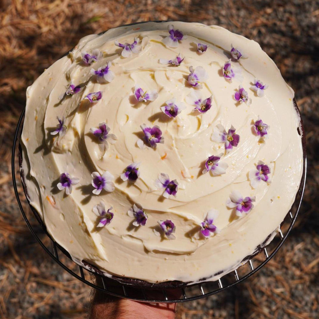 Simple Orange Cake