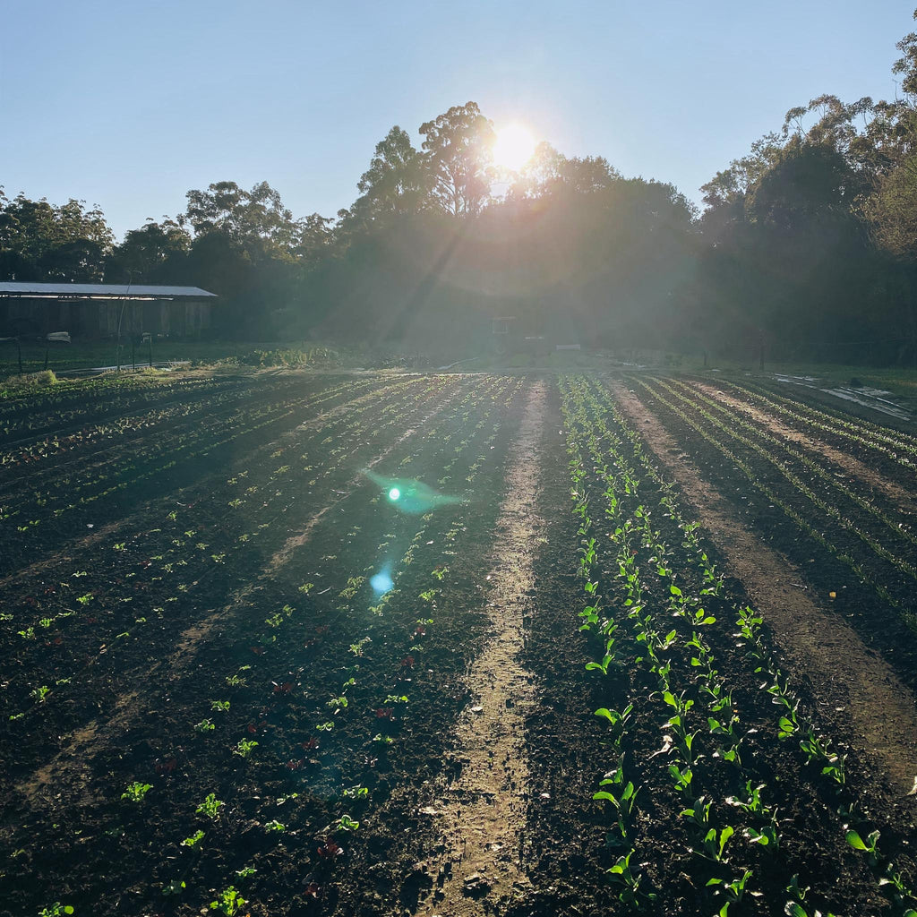 This Is Not Just About Food,  Farming And Our Planet